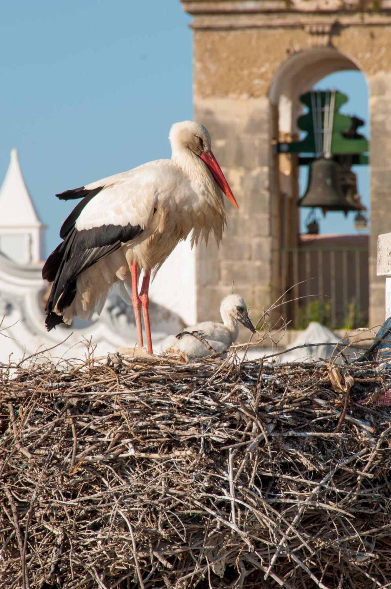 Ostello Stork Olhão